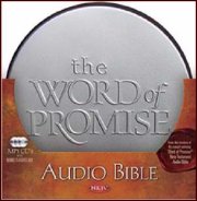 Audio Bibles Audio Bibles